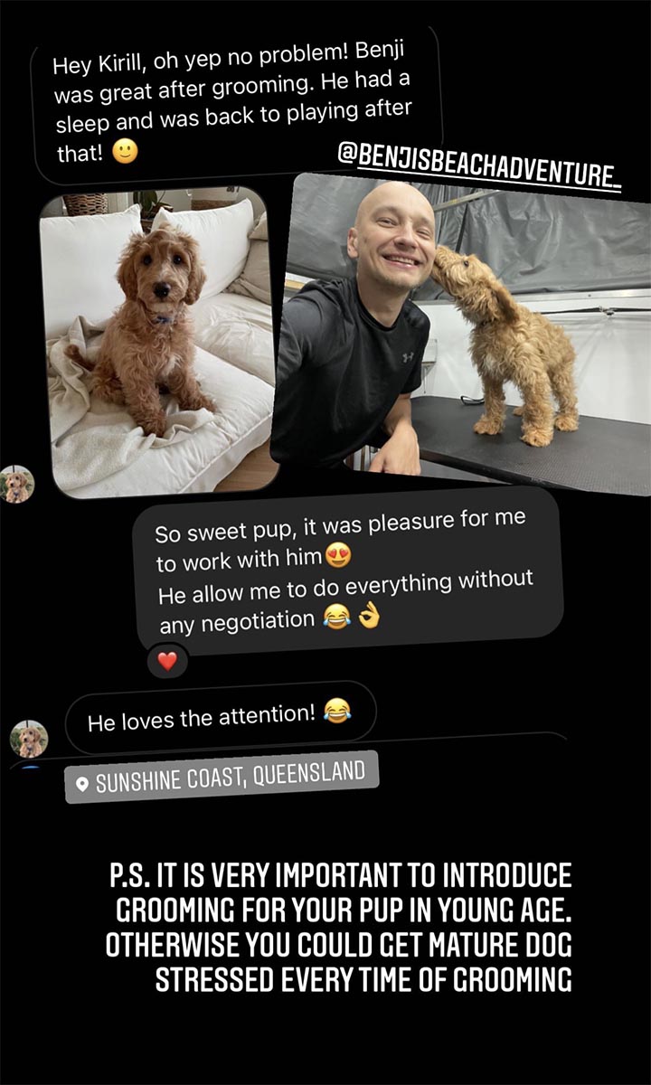 ASAP DOG GROOMING Dog grooming Sunshine Coast